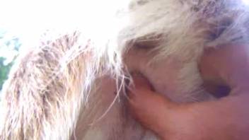 Guy stimulating his darling's small rosy vulva live on webcam