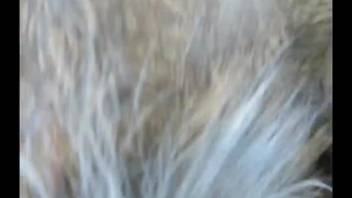 Attractive cock appears stunning in a snug beast's rear