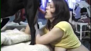 Big black dog gets nicely sucked by astonishing females zoophiles