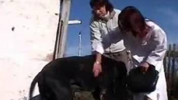 Housewife helps pretty veterinarian to be fucked by own dog