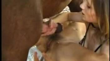 Courageous pals sharing that massive horse dick as a team