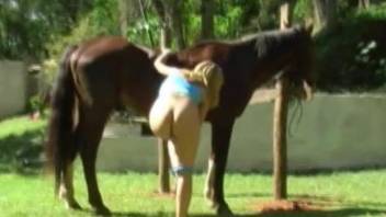 Comely teen rubs her shaved pussy near beautiful horse