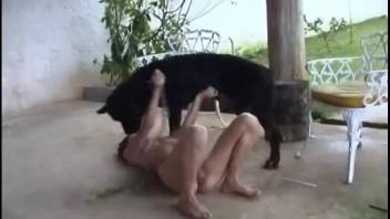 Sexy Latina gives oral to a well-hung black dog outside