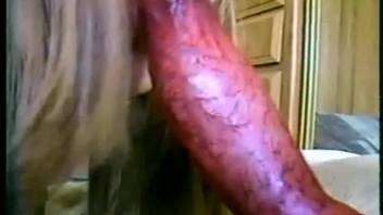 Adorable woman with perfect slit relishes vile bestiality session