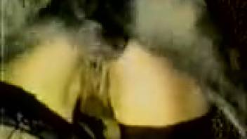 Huge stud with erect cock pounded a promiscuous vixen from the rear