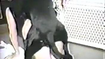 Ebony hound thrusts into seasoned dominatrix directly in the family room