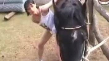 Cutie approached stallion outdoors to use bulge for own pleasure