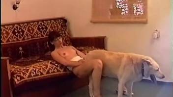 Comely redhead carefully works with mouth on dog's fat penis