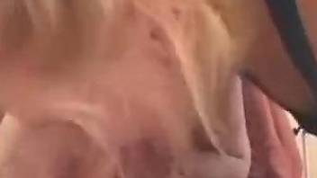 Beautiful blonde pleases white pet with well-done blowjob