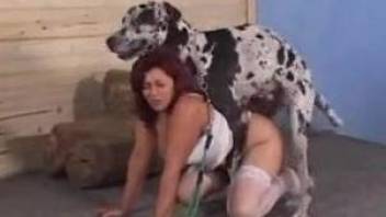 Amazing amateur bestial fuck with a doggy and redhead babe