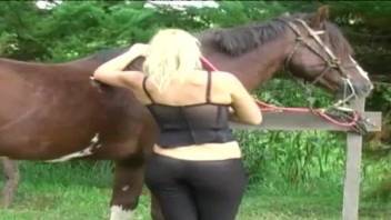 Brown horse and sensual blondie in awesome oral beastiality