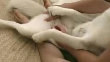 Aroused guy screwing his female dog's narrow canine vagina