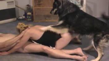 Canine with erect penis enjoys fantastic threesome with married duo
