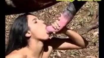 Frightened young brunette teen being penetrated by a horse