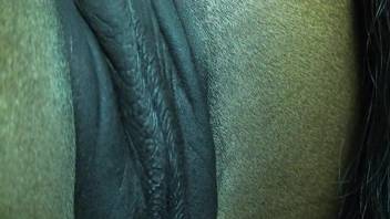 Hard and venous dick looks nice inside of a horse crack