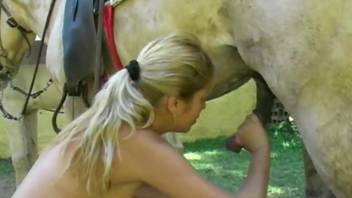 Attractive blond woman positions herself beneath a horse and pleasures herself with its swelling