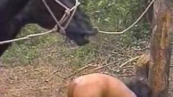 Cute brunette is sucking a giant stallion at the farm