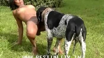 Intense amateur anal bestiality outdoors with promiscuous ladies