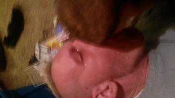 Dirty zoophile guy passionately performs oral sex on a canine