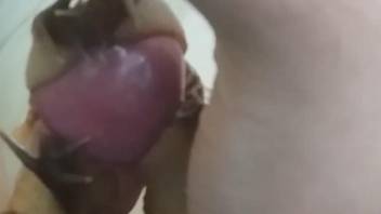 Dude has sexy snails slithering all over his cock