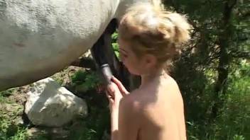 Horse bangs chick outdoors