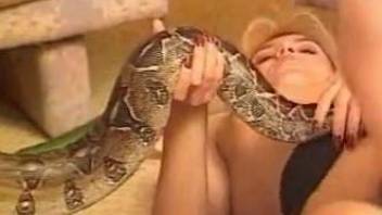 Lezzie bitches using a snake during hot porn scenes