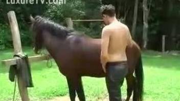 Bitchy zoophile with hard dick got analyzed by small brown pony