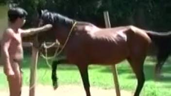 Aroused eager bottom gets pounded by a perverted horse