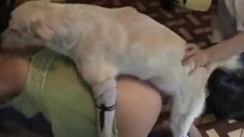 Babe in green getting fucked by a kinky white dog