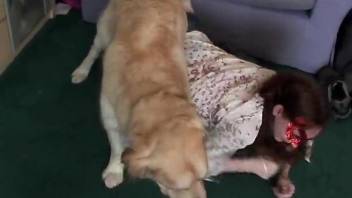 Redhead wife and hot doggy are enjoying bestiality sex