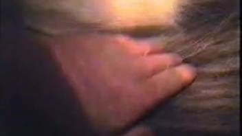 Gorgeous females perform oral on various canine penises in XXX anthology