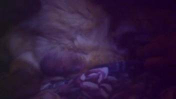 Cute teen 18+ vixen takes anal penetration in doggystyle position