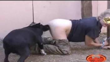 Dark-haired dog banged a big-bottomed beauty outdoors