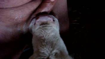 Plump guy has his tiny cock sucked by the bovine