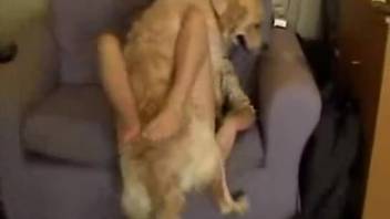 Amazing canine romp with my spouse in a beastly sex film