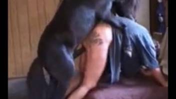 Voluptuous older woman deepthroats massive horse penis