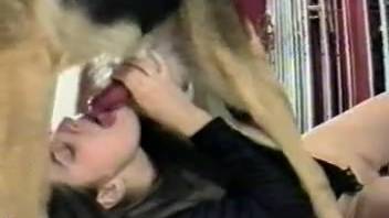 Naked hottie drains dog's dick after wild fucking