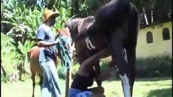 Hot Hispanic chick blowing a stud's dick in public