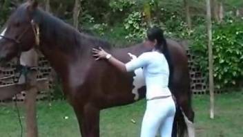 Latina veterinarian is about to get fucked by a horse