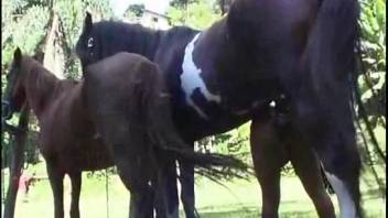 Stud nonchalantly bangs a Latina chick right beside his girlfriend