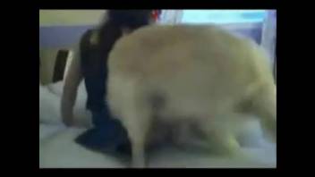 Dark-haired girl 18+ is screwed doggy-style by a canine
