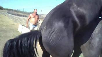 Horse fuck and the horny porn lover sits and watches