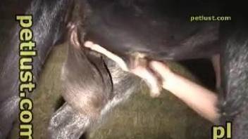 Farmer pounds his black pony in doggy style pose