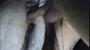 Guy fingering the beast's snug pussy and screwing it hard