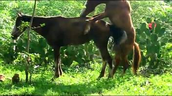 Stunning slut enjoys incredible fucking in doggystyle position