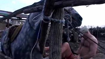 Pair withstands intense equine copulation scenes outdoors