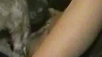 Geeky hottie gets pounded by a dog while menstruating