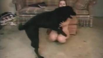 Elegant amateur zoofil treated hard by her black dog