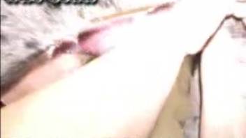 In-depth footage of bestial intercourse with a highly curvaceous mature woman