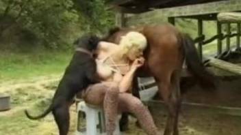 Busty blonde is fucking with dog and pony at farm